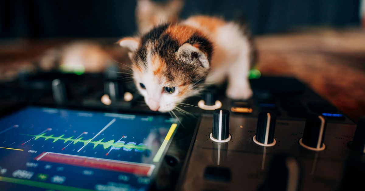 Adorable calico kitten curiously exploring a DJ controller in an artistic setup.